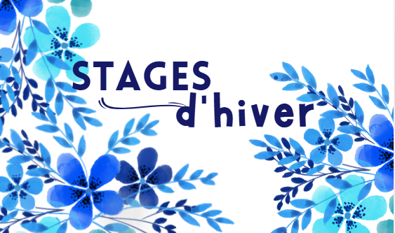 Nos stages des vacances de février !