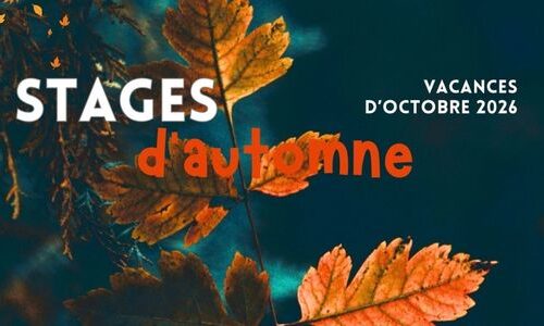 Stages d'automne